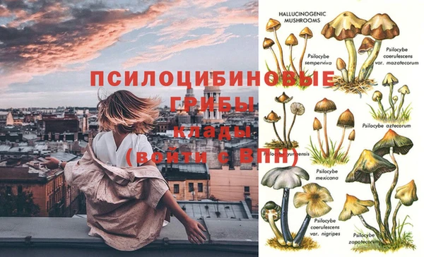 герыч Елабуга