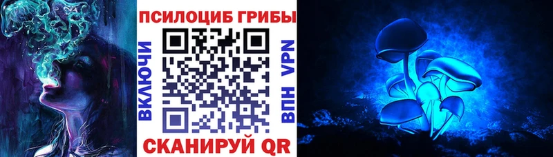 Галлюциногенные грибы Psilocybine cubensis Купить Кадников
